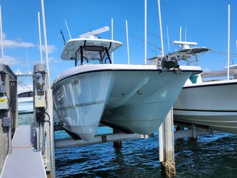 31' Twin Vee 2020