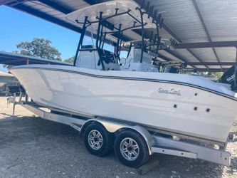 26' Sea Cat 2023