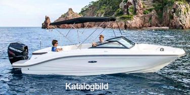 Sea Ray sea ray 210 spx