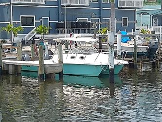 29' Twin Vee 2011