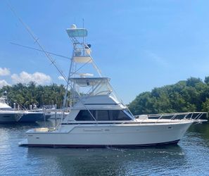 42' Bertram 1981 Yacht For Sale