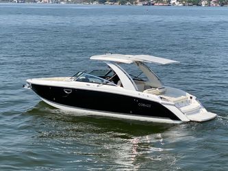 31' Cobalt 2018