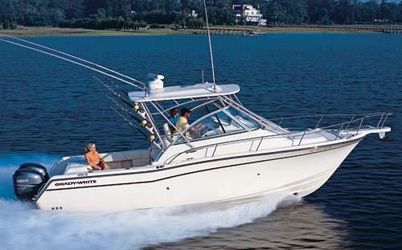 31' Grady-white 2008