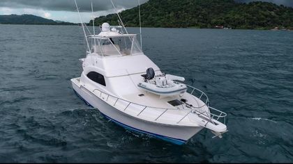 51' Bertram 2009