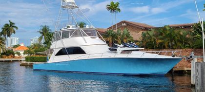 74' Viking 2006