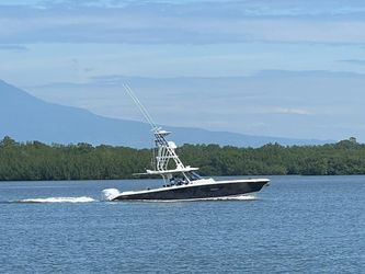 42' Pursuit 2022