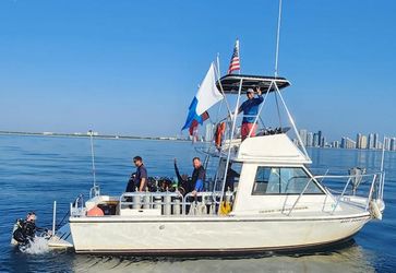 30' Island Hopper 2001