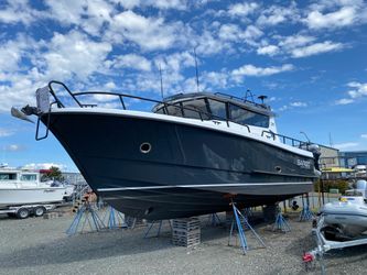 36' Sargo 2019