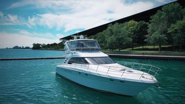 Sea Ray 560 Sedan Bridge