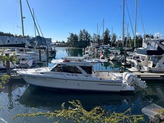30' Cutwater 2018