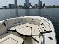Stingray 273CC