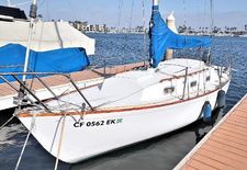 Yankee Dolphin