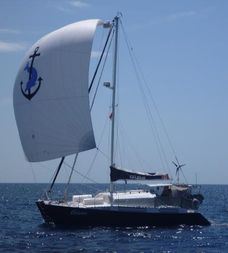Catamaran Flica 36