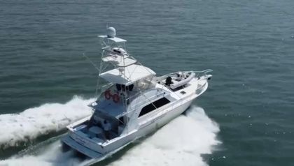 50' Bertram 1987
