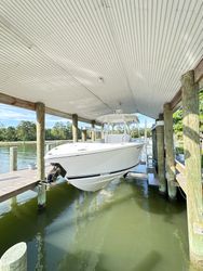 29' Jupiter 2019