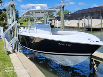 31' Jupiter 2001