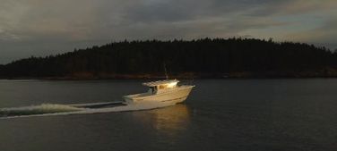 Ocean Sport Roamer 33'
