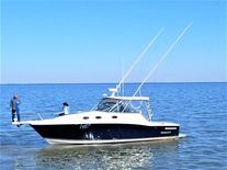 Wellcraft 330 Coastal