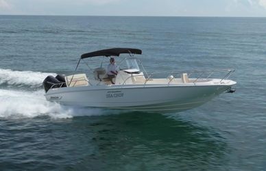 27' Boston Whaler 2022