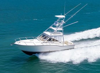 32' Carolina Classic 2005