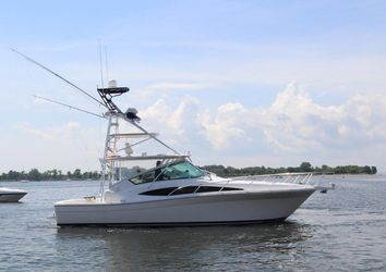 36' Bertram 2006