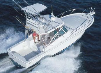 39' Luhrs 2008