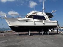 Custom island gypsy 40 europa
