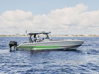 Arth 333Sc