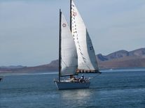 Freedom 39