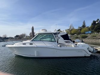 31' Boston Whaler 2017