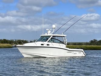 31' Boston Whaler 2016