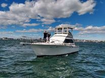 Egg Harbor 37 Convertible