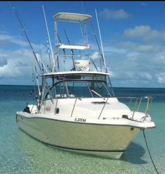 30' Pursuit 2005