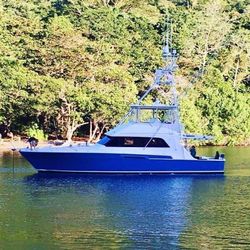 54' Bertram 1989