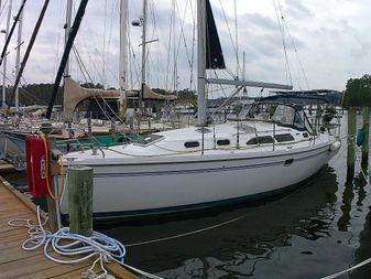 Catalina 350