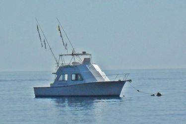 43' Island Hopper 2006