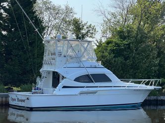 39' Bertram 2001