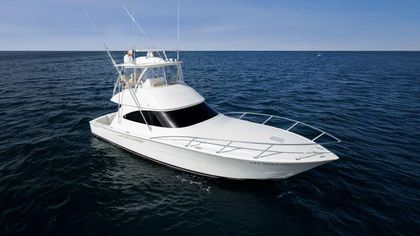 45' Viking 2019