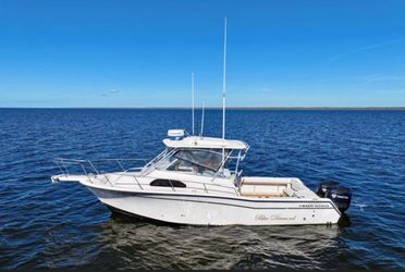 30' Grady-white 2003