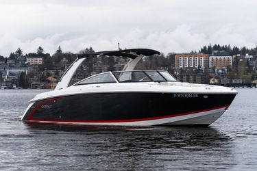 31' Cobalt 2019