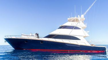 Viking 82 Enclosed Bridge
