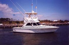 Bertram Sport Fish