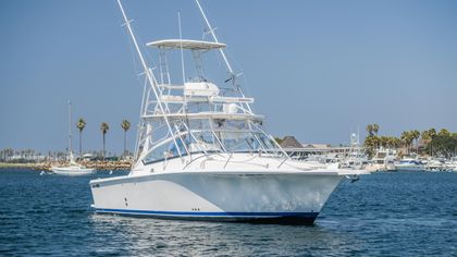 30' Luhrs 2006