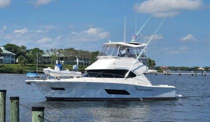 43' Riviera 2016 Yacht For Sale