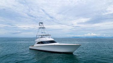Viking 72 Convertible