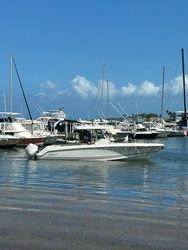 33' Boston Whaler 2020