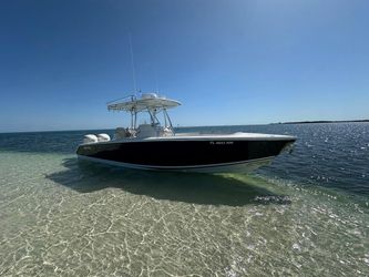 29' Jupiter 2009