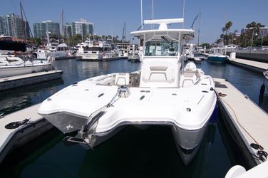 32' World Cat 2023