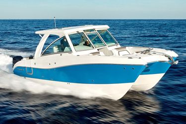 32' World Cat 2019