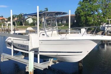 Cobia 254 CC